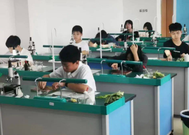 坚持五育并举促进学生全面发